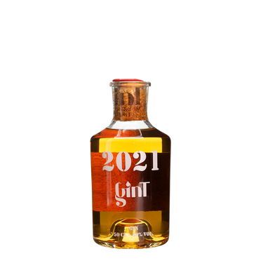 GinT 2021 - GinT